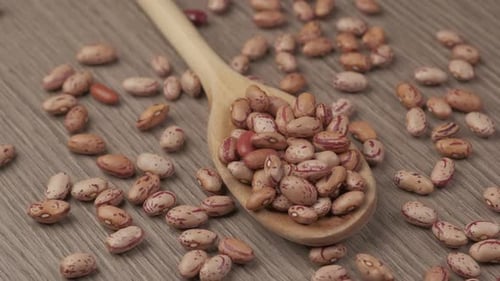 Pinto Beans in Wooden Spoon on Display
