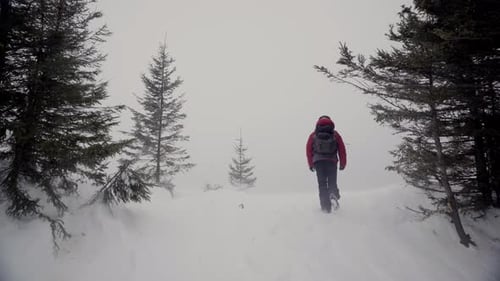 Traveler on Snowy Mountain in Winter
