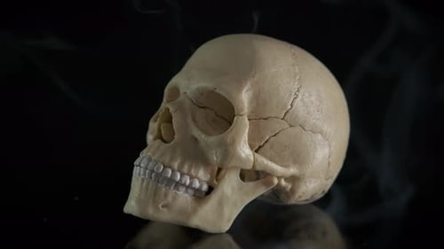 Human Bone in Steam
