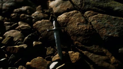 Old Dagger on the Rock at Sunset