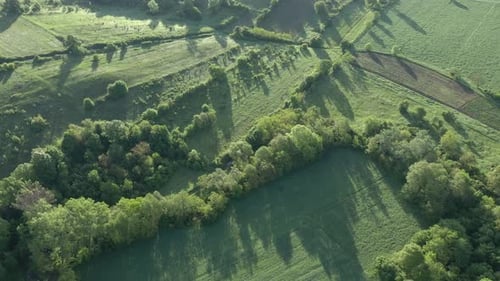 Aerial View of Verdant Fields and Forests