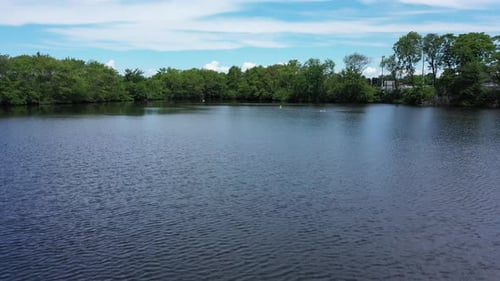 A low angle shot over a pond, the camera dolly in and elevates. At the water's edge, a white bird ta