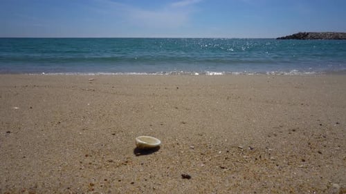 Beach And Waves