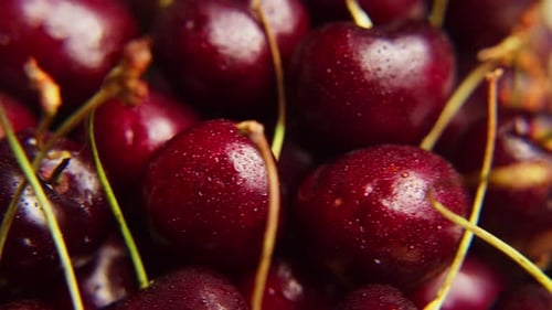 Fresh Juicy Wet Red Cherry Rotation