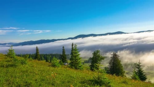 Matin brumeux dans les montagnes