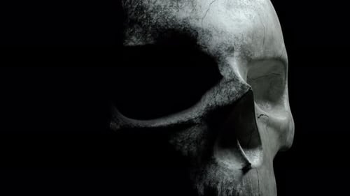 Dramatic Grunge Skull Reveal Animation