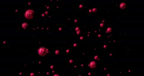 Animated Microscopic Virus Particles for Science and Medical Projects