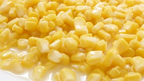 Bright Yellow Corn Kernels Close Up
