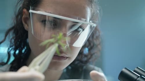 Female Biologist Doing Plant Research in Lab