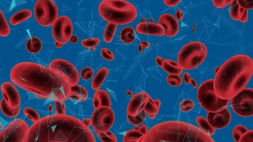 Red blood cells and abstract shapes
