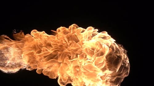 Abstract Flame Animation on Black Background