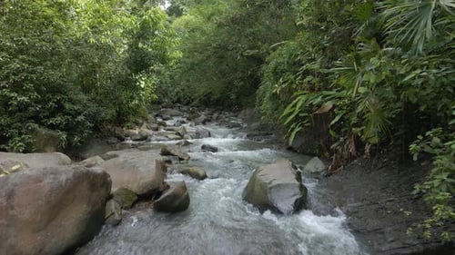Drone shot flying over a river in a dense rainforest on a tropical island
