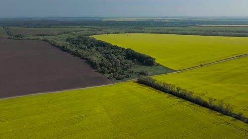 Panorama des champs agricoles d'Ukraine