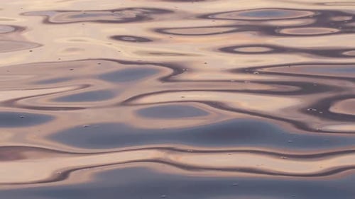 Water Surface Ripples at Golden Hour