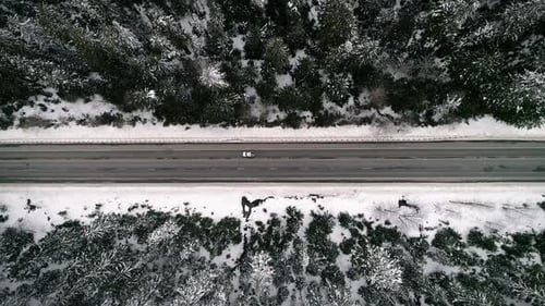 Voyage hivernal sur le col de la montagne enneigée