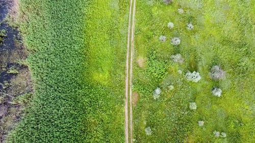 A country road among green fields