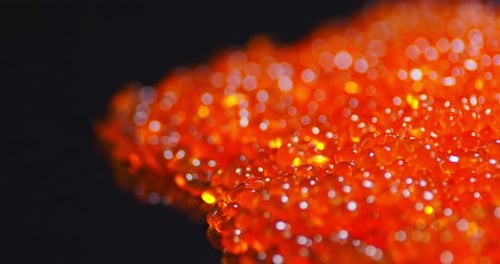 The Fresh Red Caviar on the Table Is Slowly Rotating.