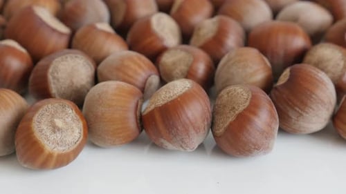 Tilting over Corylus avellana nuts close-up 4K 2160p 30fps UltraHD footage - Heap of hazelnuts on w