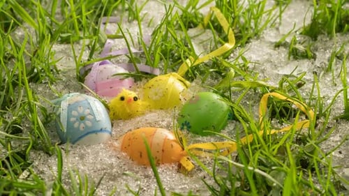 Easter Eggs and Chick in Spring Grass