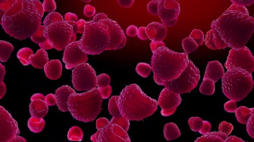 Falling Raspberries on Black Background Loop