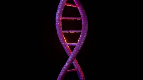 3D Animated DNA Double Helix Structure with Glowing Nucleotides