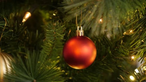 Red Christmas Bauble Hanging on Tree