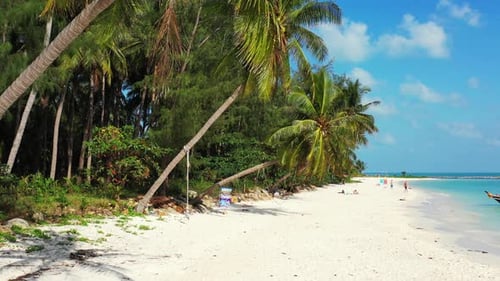 Tranquil exotic beach under palm trees bent over white sand washed by calm clear water of sea on a b