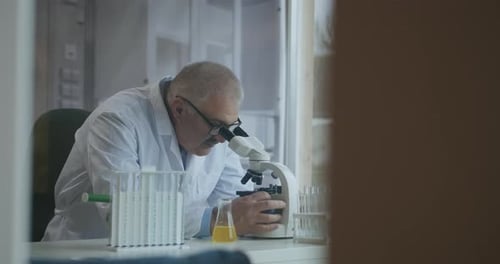 Male Research Scientist. He Sitting in a High-End Modern Laboratory with Beakers, Glassware