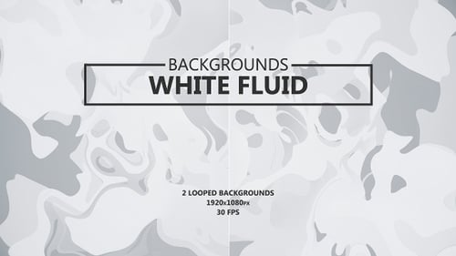 Abstract Fluid White Animated Background Loop
