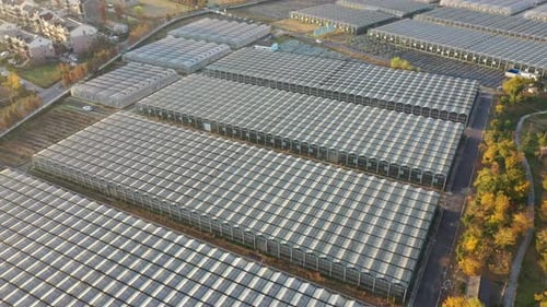 Greenhouses Aerial View of Agricultural Cultivation
