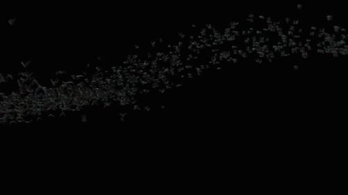 Dark Flying Swarm of Creatures Animation