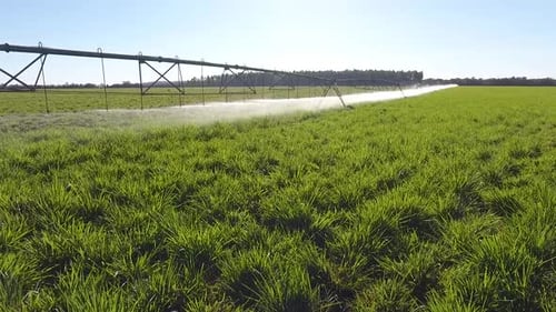 056 Agro Diverso