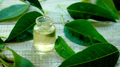 Óleo essencial em um frasco pequeno