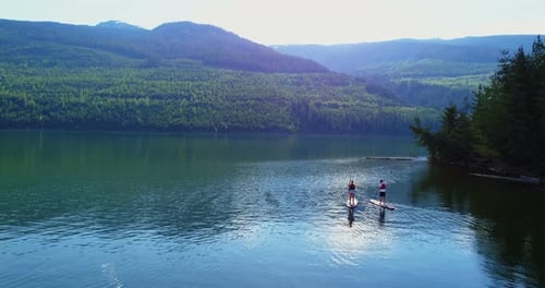 Couple rowing a stand up paddle board in the river