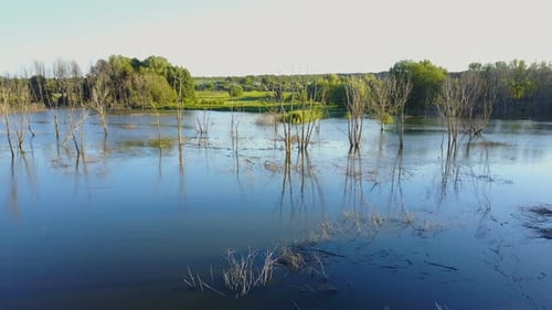 Flooded Rural Area with Bare Trees in Water