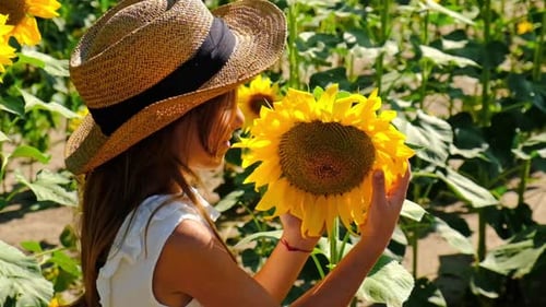 A Child in a Field of Sunflowers
