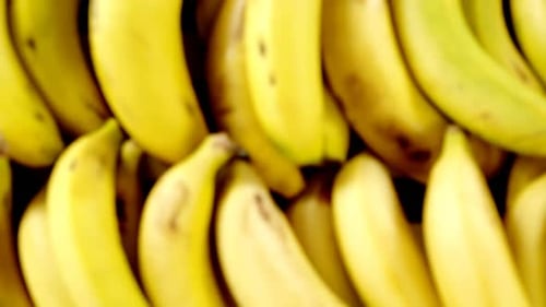 Fresh Bananas in Wooden Crate on Display