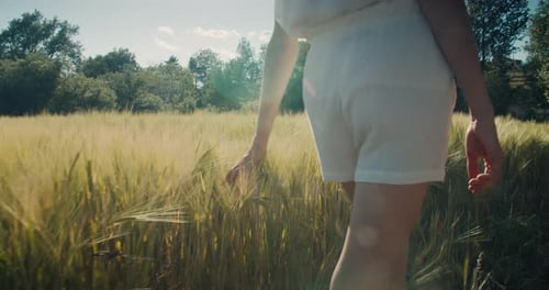 Happy Woman Walk Along Agricultural Field and Touch Wheat Harvest on Summer