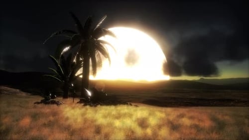Puesta de sol en las dunas