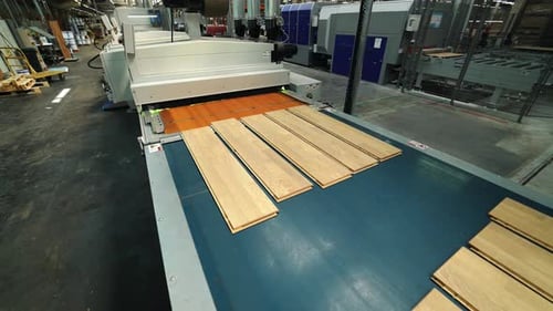 Wood Planks Move Along Automated Conveyor Belt