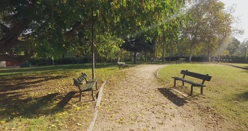 An einem sonnigen Sommertag auf einem Gehweg im Stadtpark bei Green Lawn unter Bäumen spazieren