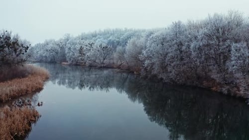 Winter landscape in nature.