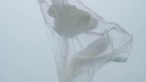 Bolsa de plástico de contaminación submarina