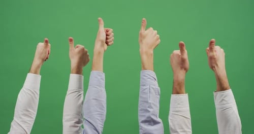 Hands raising the thumbs up