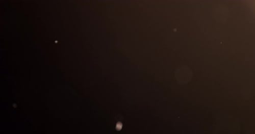 Particles