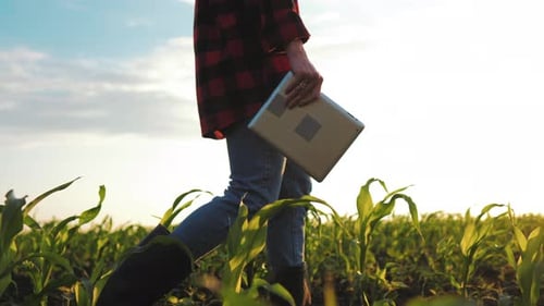 Cultivation of Agricultural Products