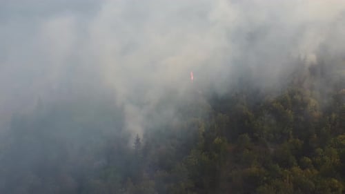 Fire in the forest aerial view. Cinematic aerial shot fire in the forest.