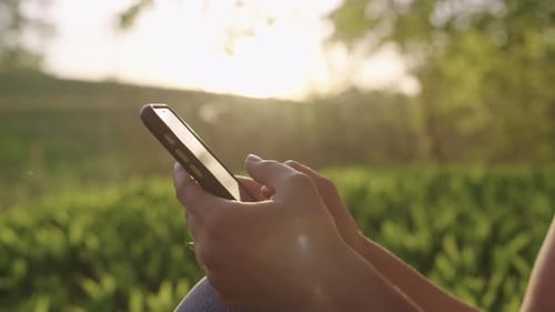 Closeup of a Phone in the Hands of a Girl in the Park at Sunset
