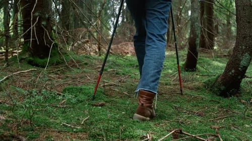 Man in Hiking Boots Walking on Moss in Forest