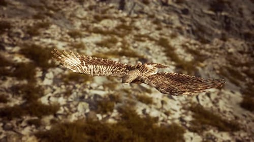 Majestic 3D Eagle Flying Over Rocky Mountains Seamless Loop